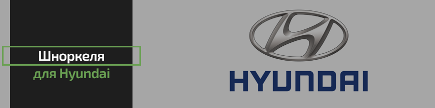 Шноркеля для Hyundai